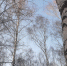 Из собственного фотоархива - Nk-Online.Ru