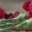 Что читали, что смотрели, на что реагировали на сайте и в соцсетях НТР 24 с 6 по 12 апреля 2026 года - Газета Нижнекамская правда